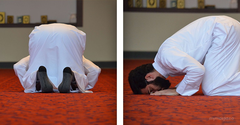 Sujud